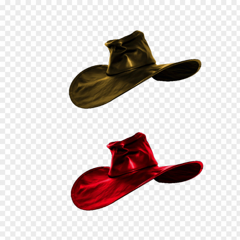 Hat Shoe PNG