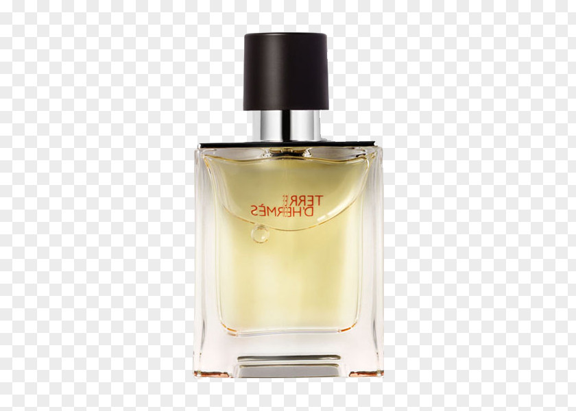 Hermes (HERMES) Men's Perfume,Earth Perfume 50ml Hermxe8s Mens Eau De Toilette PNG