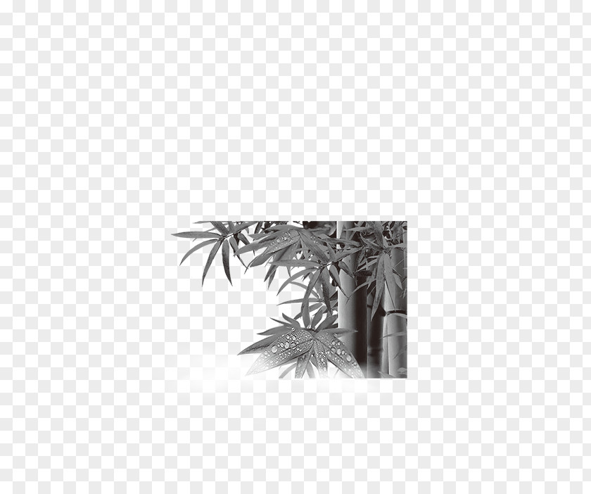 Bamboo Painting Black And White PNG