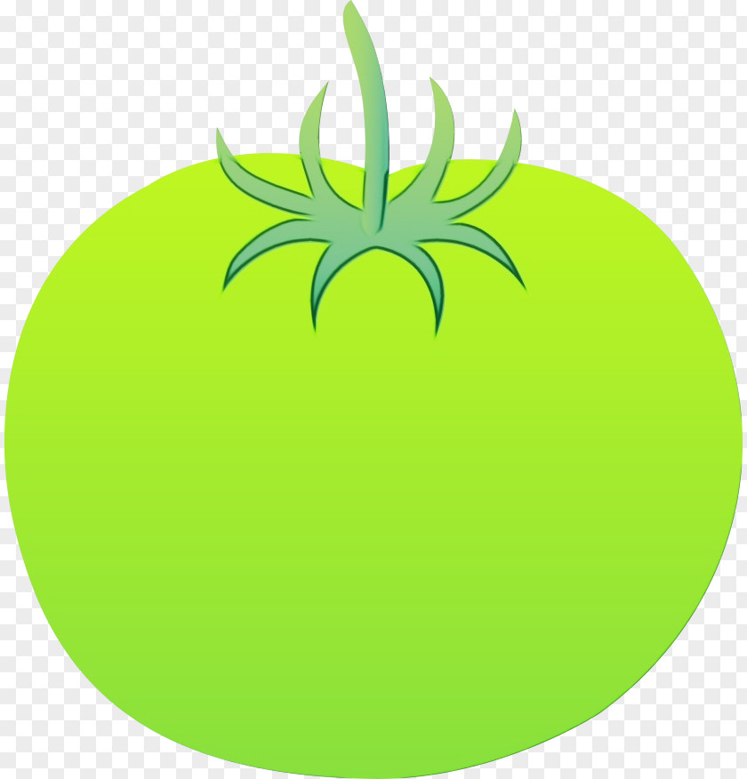 Bromeliaceae Logo Green Leaf Watercolor PNG