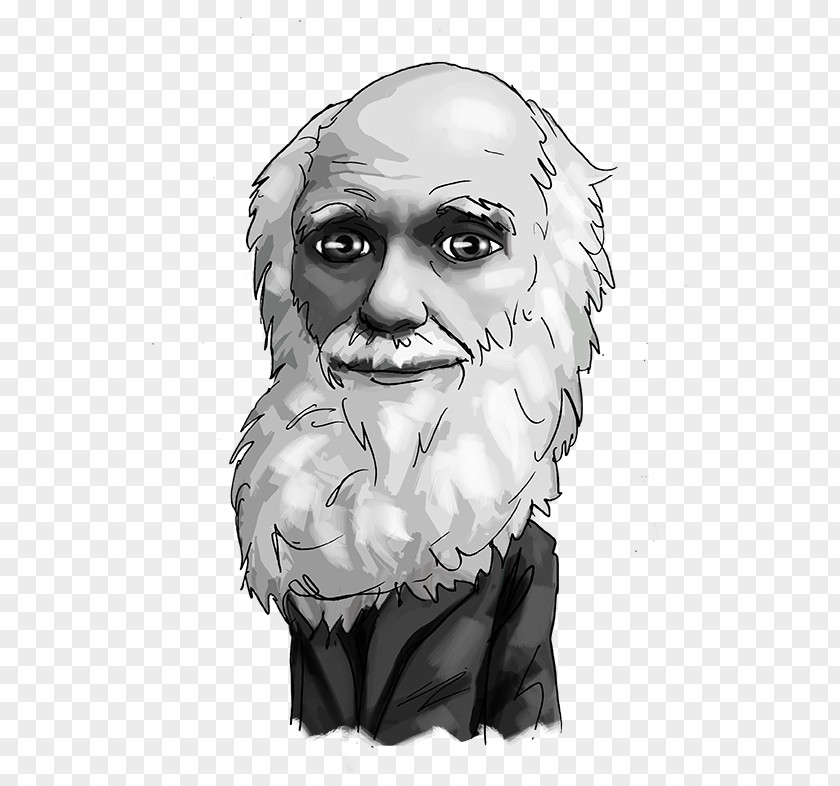 Charles Darwin Human Business Foreign Exchange Market Investment Nose PNG