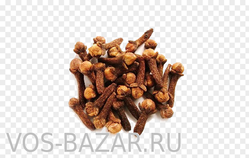 Clove Indian Cuisine Spice Cumin Seed PNG