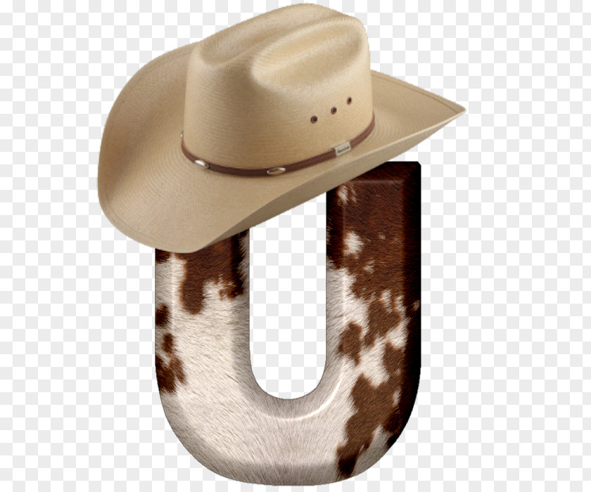 Cowboy Alphabet Hat PNG