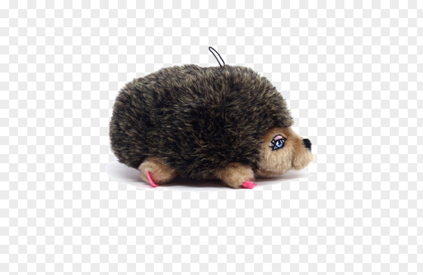 Dog Cat Litter Trays Hedgehog Cushion PNG