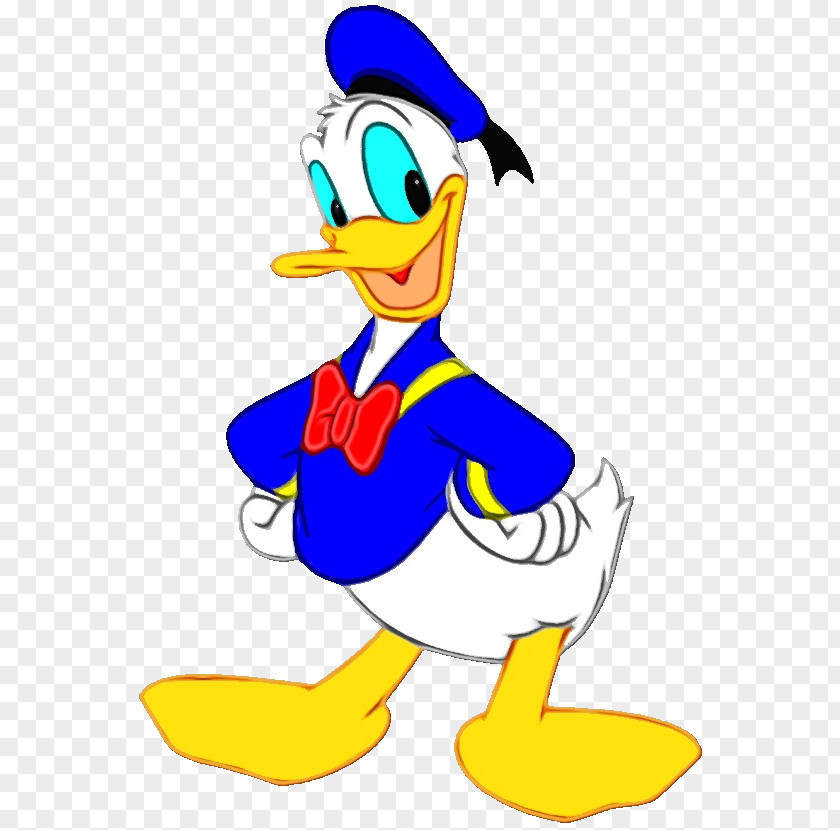 Donald Duck Daffy Daisy Image PNG