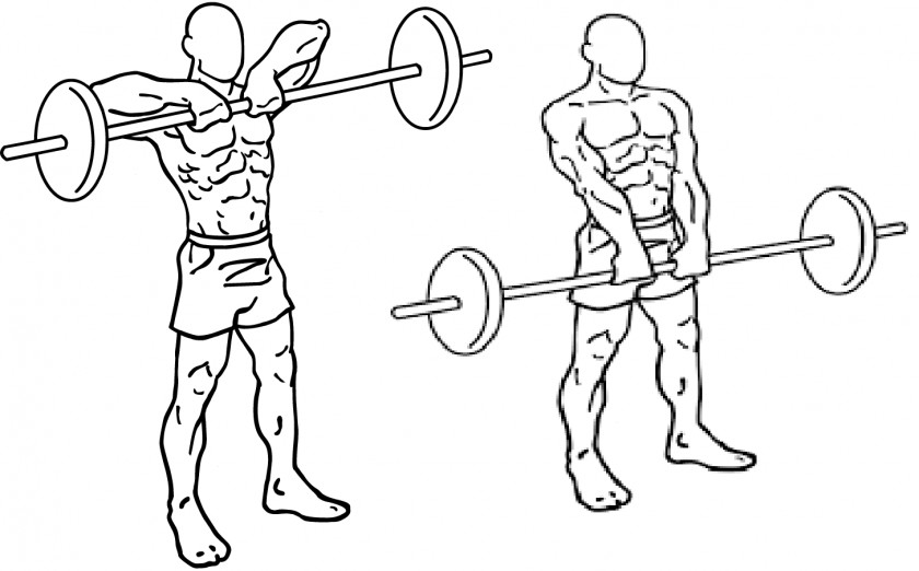 Dumbbell Upright Row Barbell Physical Exercise Shoulder Shrug PNG
