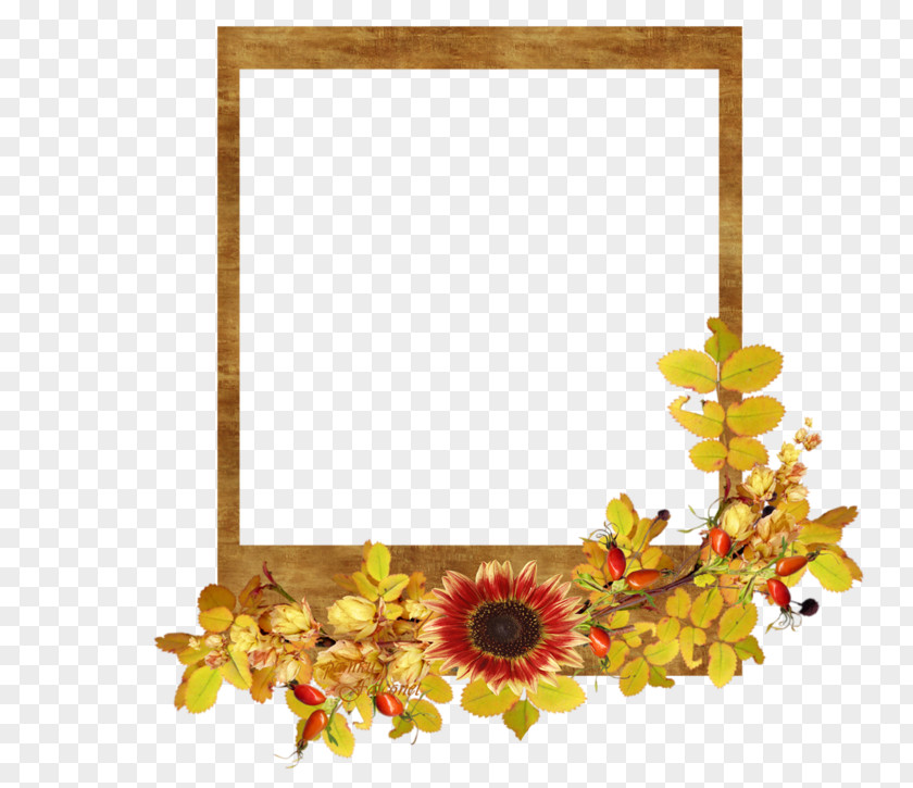 Flower Floral Design Cut Flowers Picture Frames Petal PNG