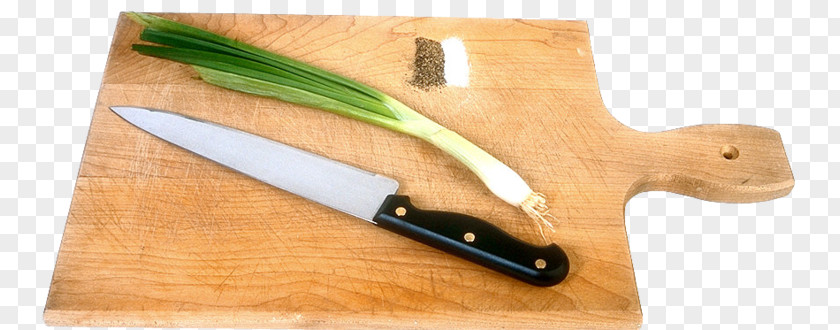 Green Onion French Soup Allium Fistulosum Garlic Hamburger PNG