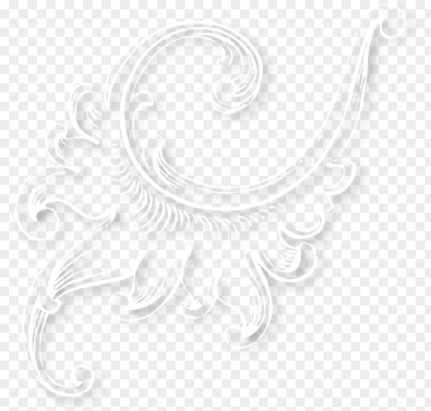 Silver Ornament Photography Picture Frames Creative Work Clip Art PNG