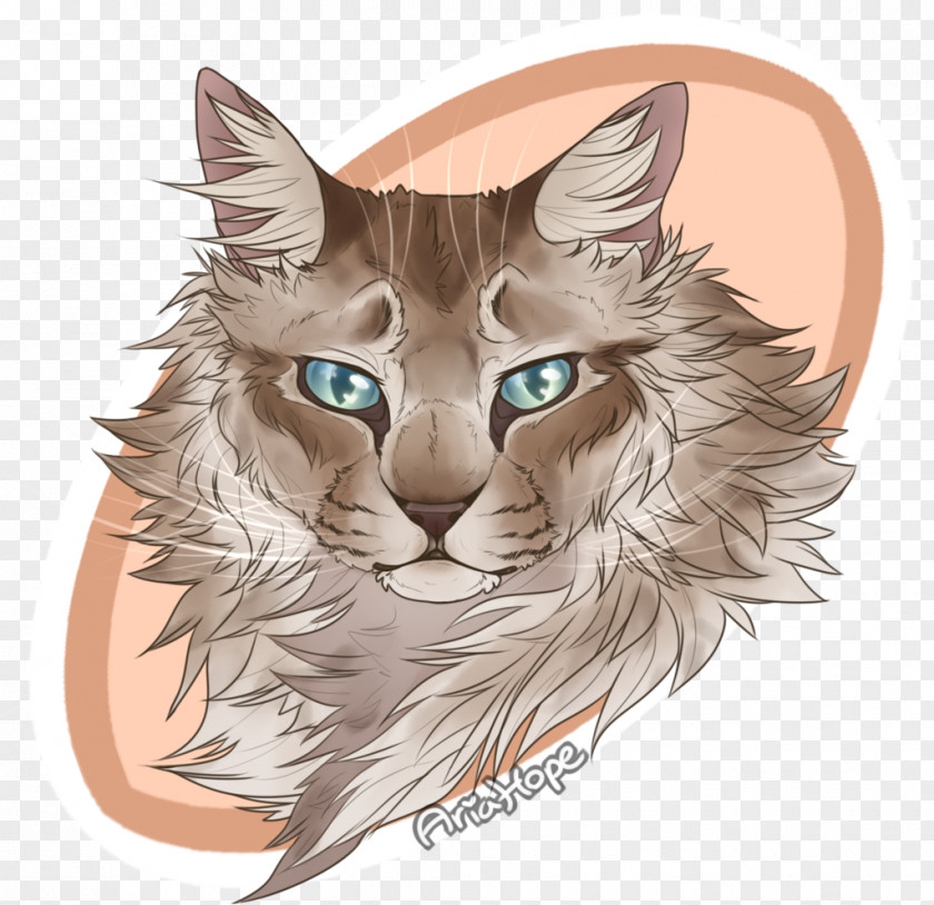 Sparrow Wildcat Drawing Kitten Whiskers PNG