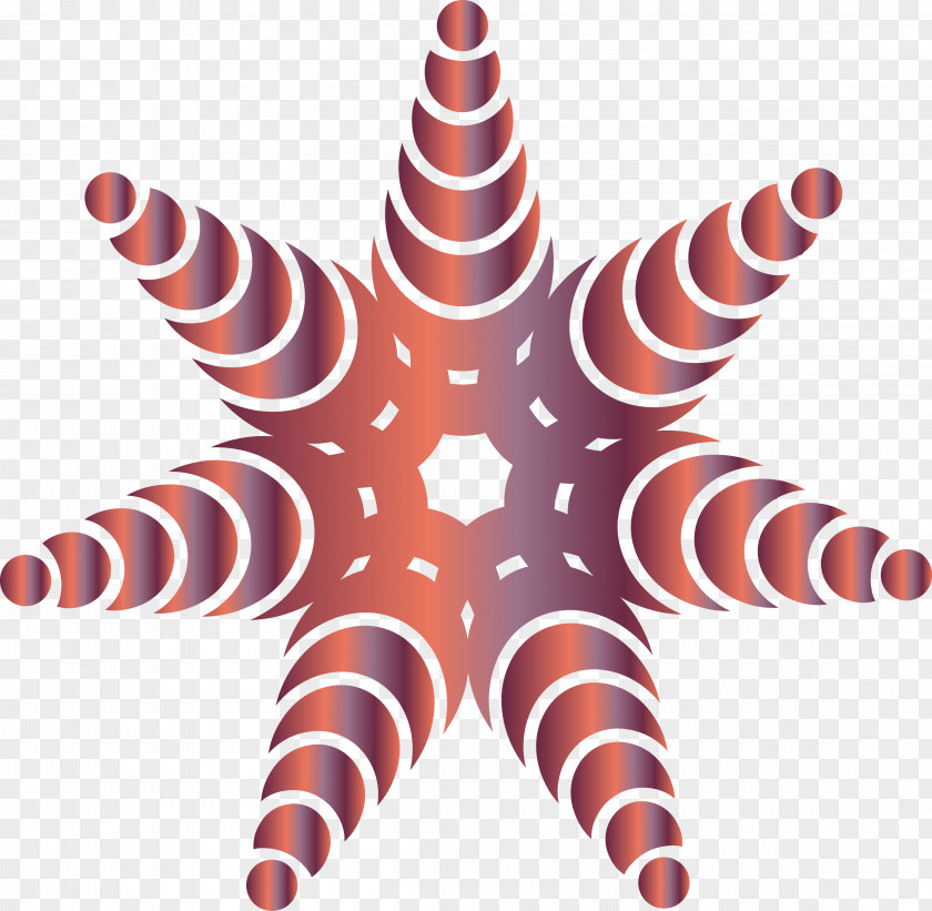Star Beautiful Light Effects Invertebrate Color PNG