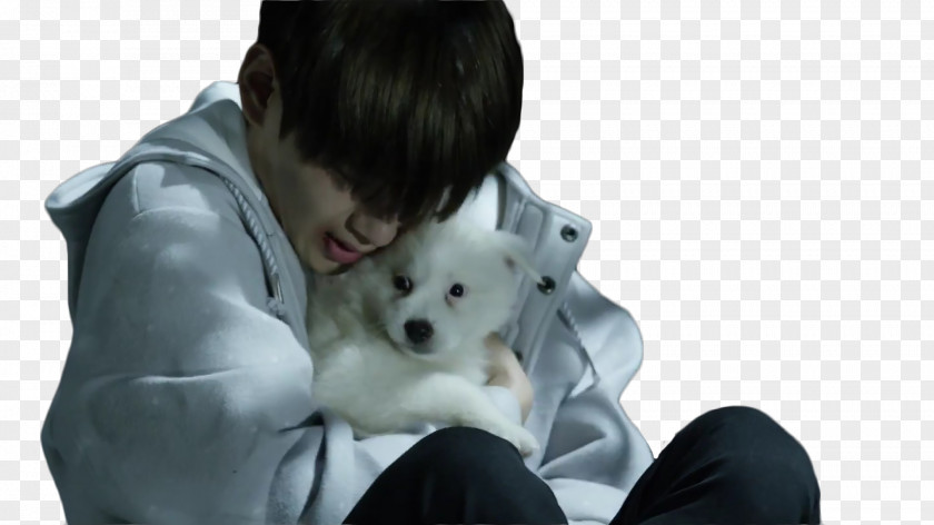 Bts Dog Puppy BTS Stigma K-pop PNG