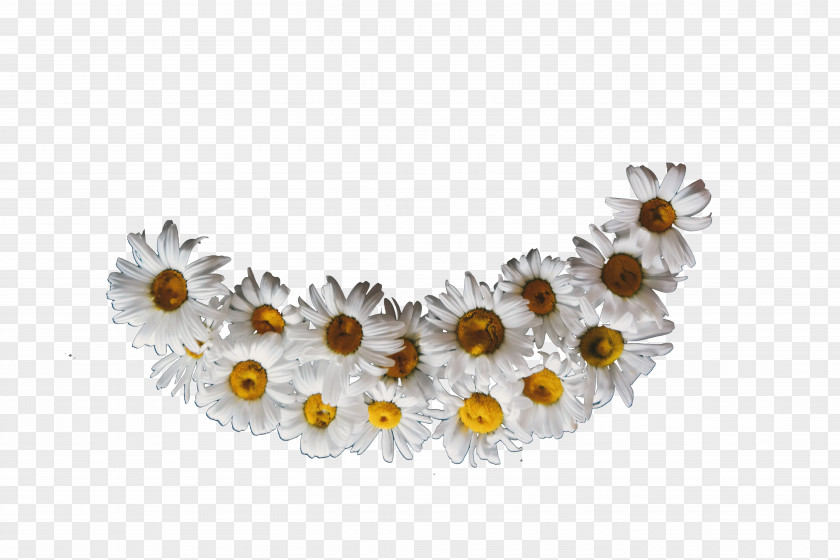 Decorative Garland Chrysanthemum Wreath Download Flower PNG