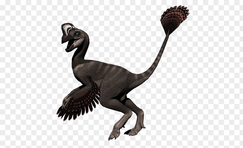 Dinosaur Oviraptor Primal Carnage: Extinction Velociraptor Video Games PNG