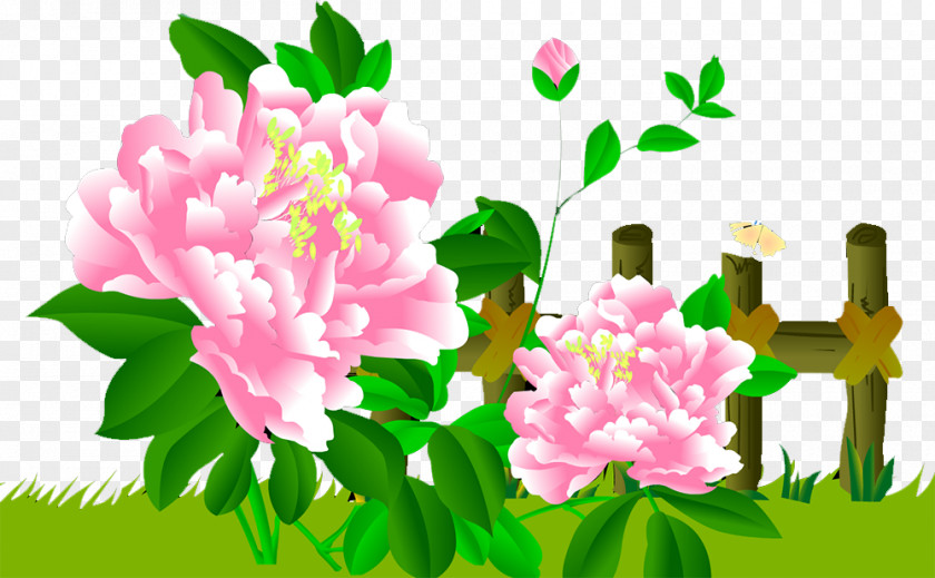 Peony Floral Design Cut Flowers Flower Bouquet PNG