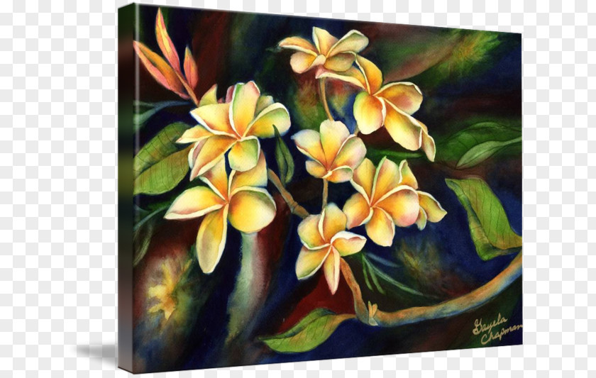 Plumeria Modern Art Floral Design Oil Painting Reproduction Watercolor PNG