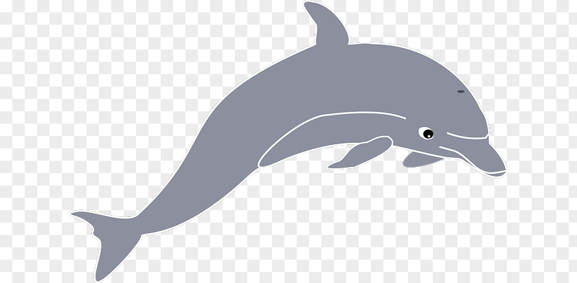 Dolphin Clip Art Openclipart Image Free Content PNG