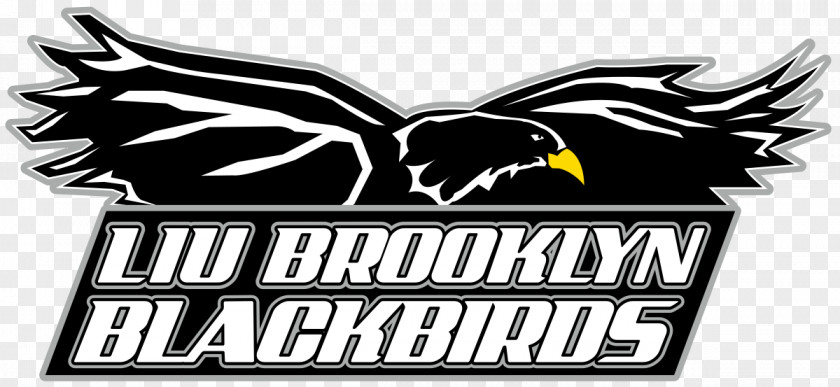 LIU Brooklyn Blackbirds Women's Basketball Long Island University Men's St. Francis College PNG