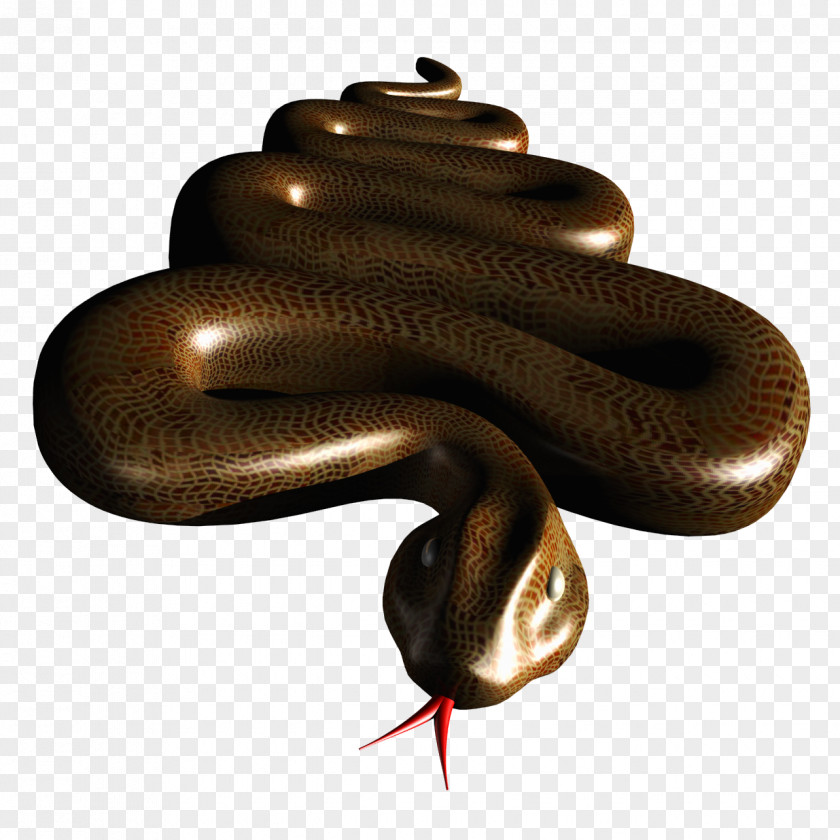 Snake Texture Boa Constrictor Kingsnakes PNG