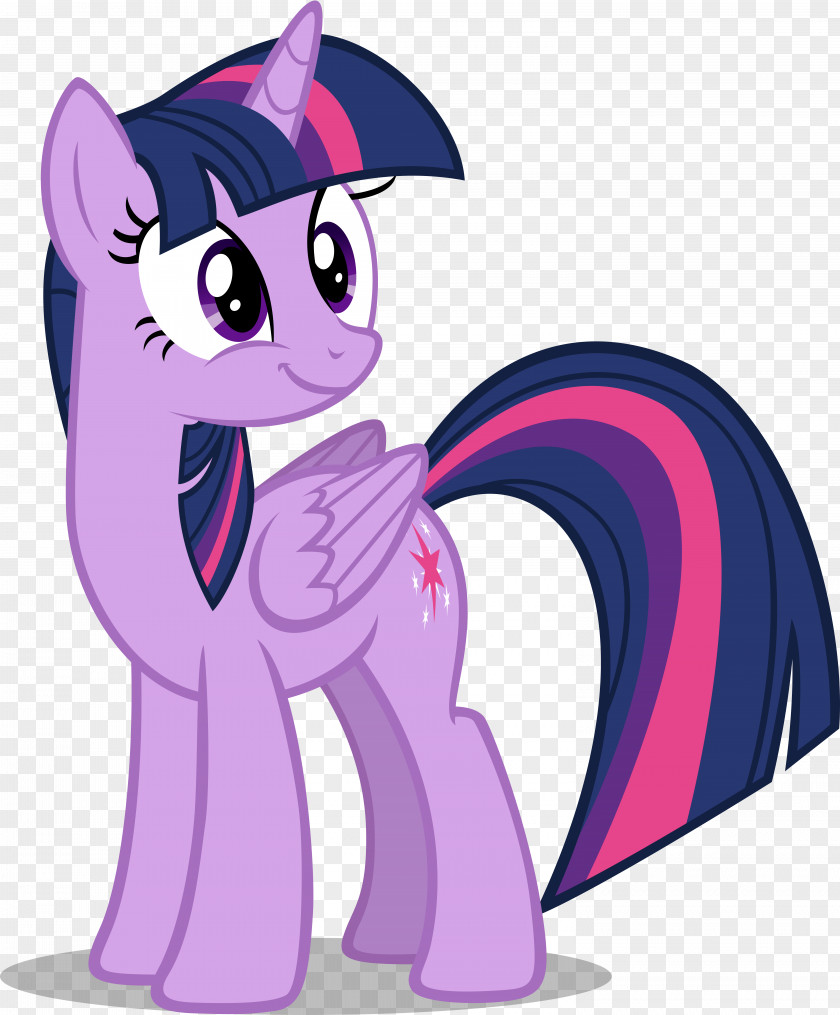 Youtube Twilight Sparkle Pony Rainbow Dash Rarity YouTube PNG