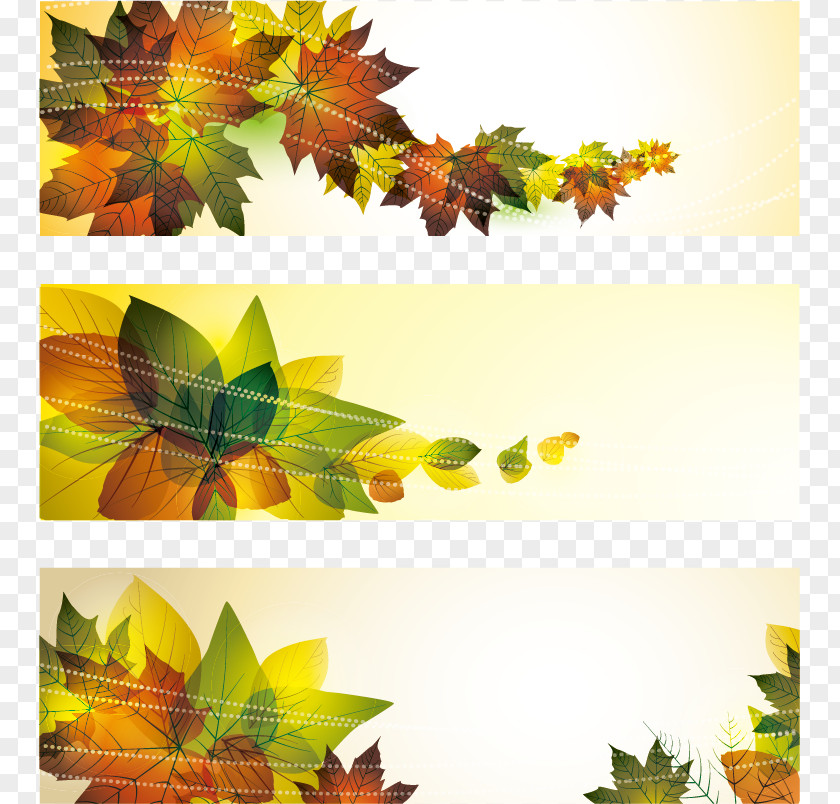 Autumn Banner Vector Material Illustration PNG