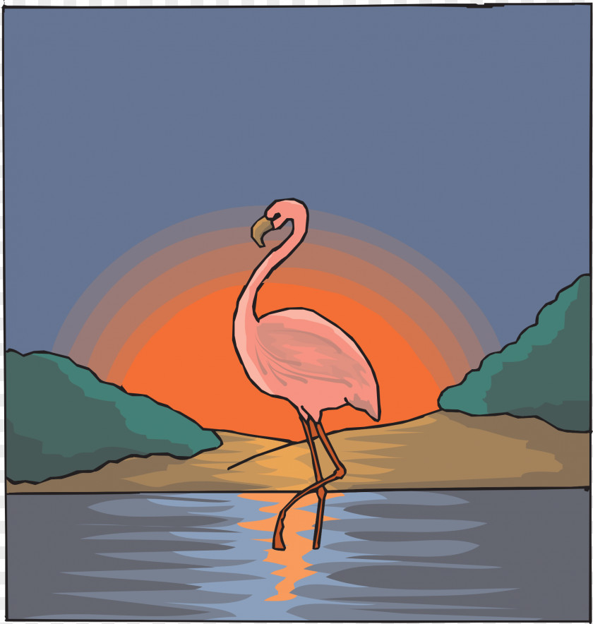 Flamingo Bird Drawing Zazzle PNG
