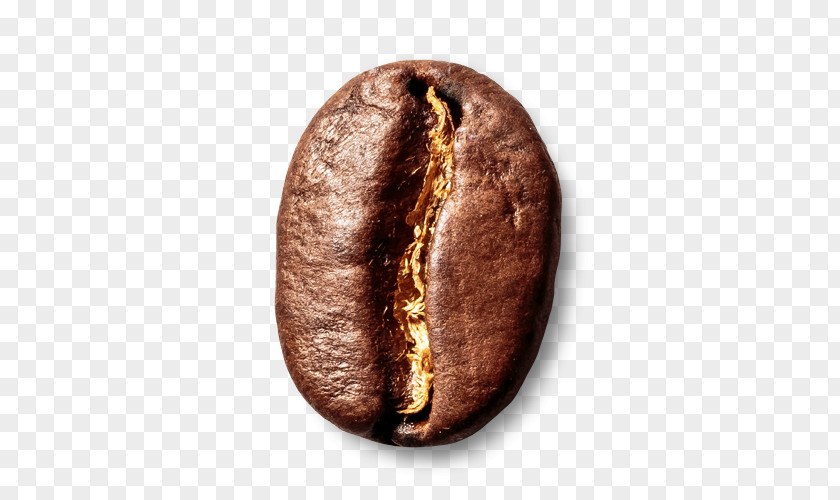 Granos De Cafe Coffee Bean Schwarzmahler Espresso Commodity PNG
