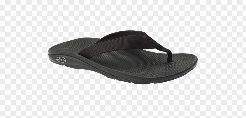 Sandal Shoe White Leather Strap PNG