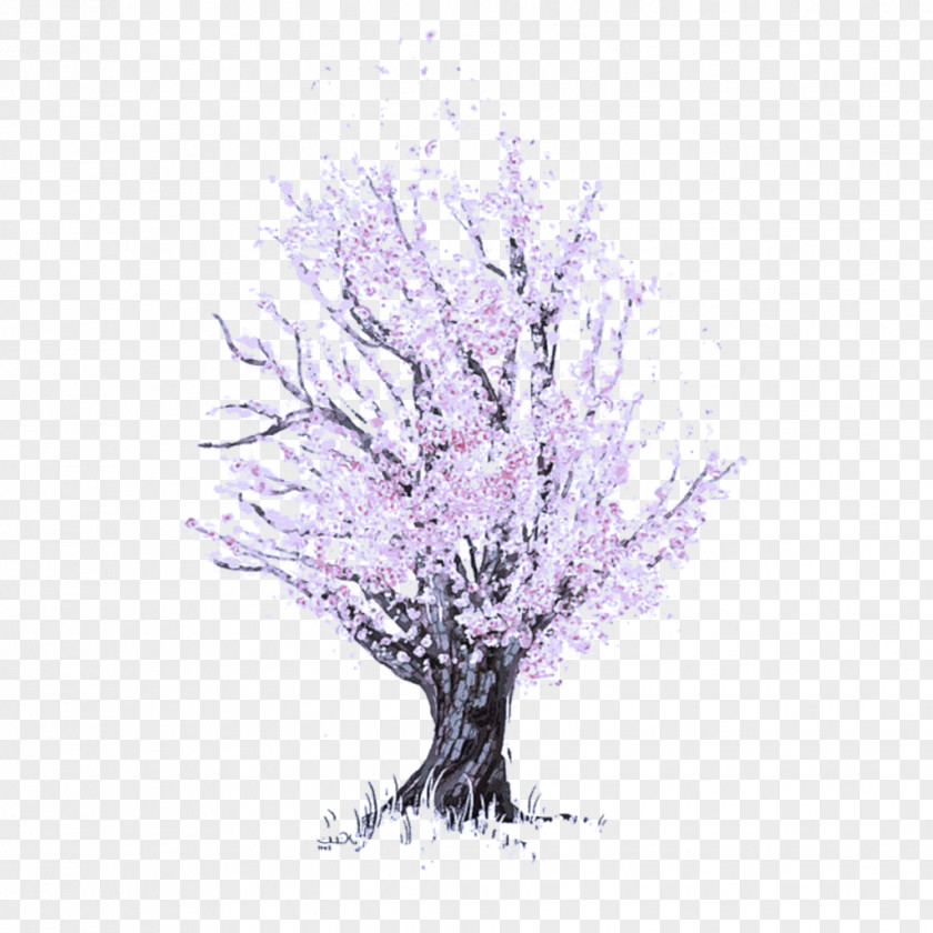 Tree Branch Woody Plant Purple PNG