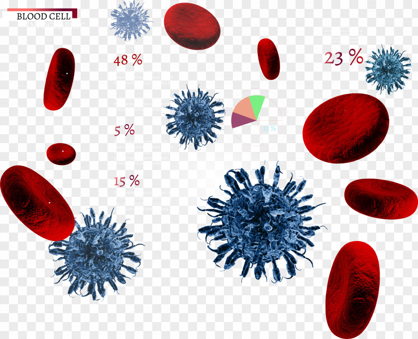 Vector Red Blood Cells Cell Euclidean PNG