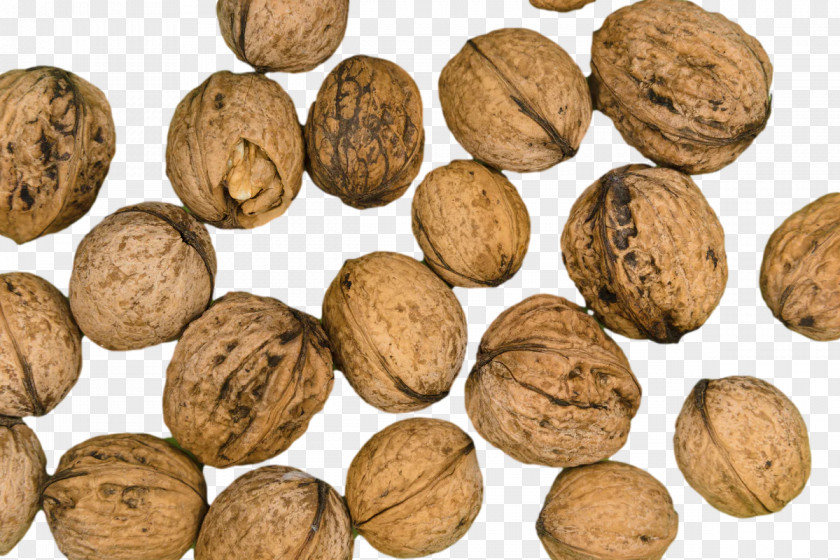 Walnut Superfood Commodity Nut PNG