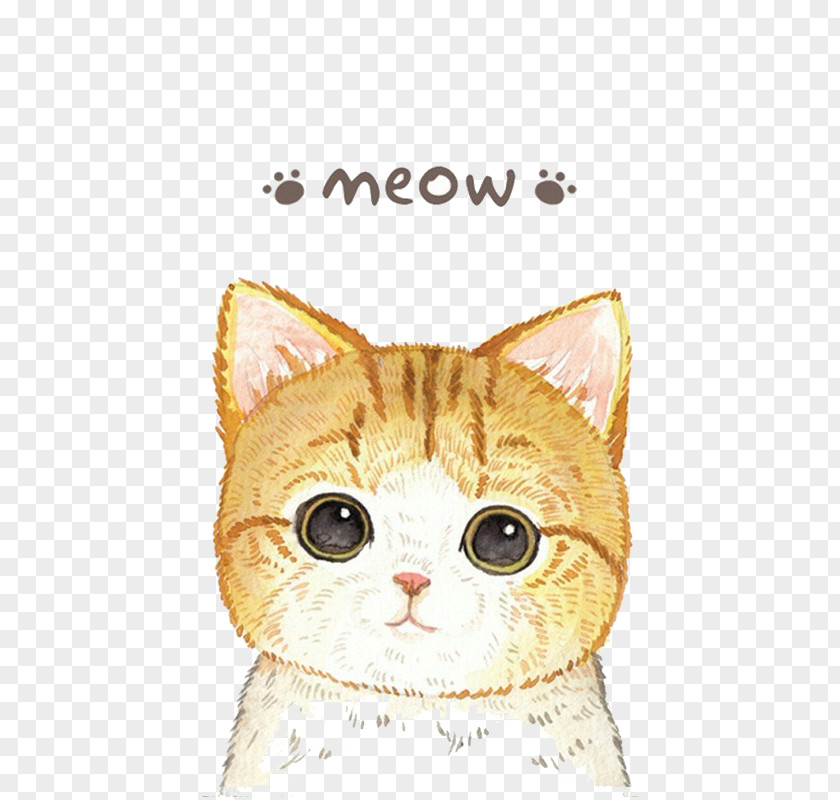 Yellow Kitten Cat Cuteness Cartoon Moe PNG