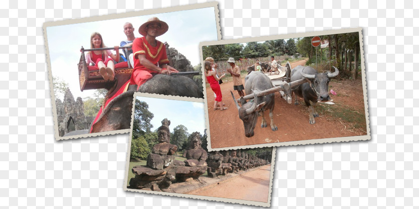 Angkor Wat Recreation PNG