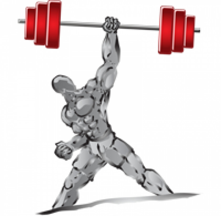 Barbell Muscle Weight Training Dumbbell Clip Art PNG