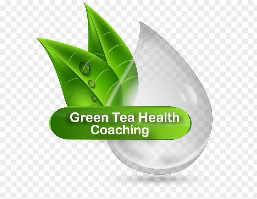 Green Health Tea Coaching PNG
