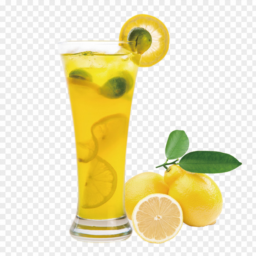 A Cup Of Frozen Lemon Tea Lemonade Drink Milk PNG