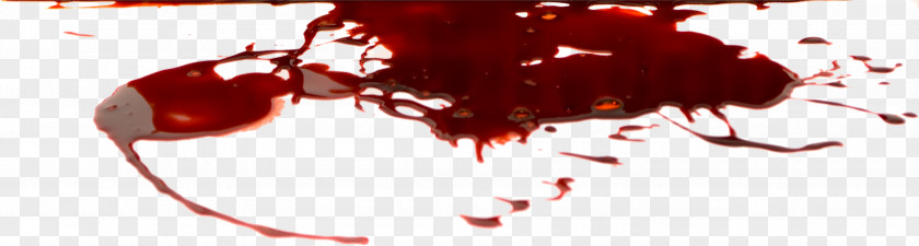 Blood Image Clip Art PNG