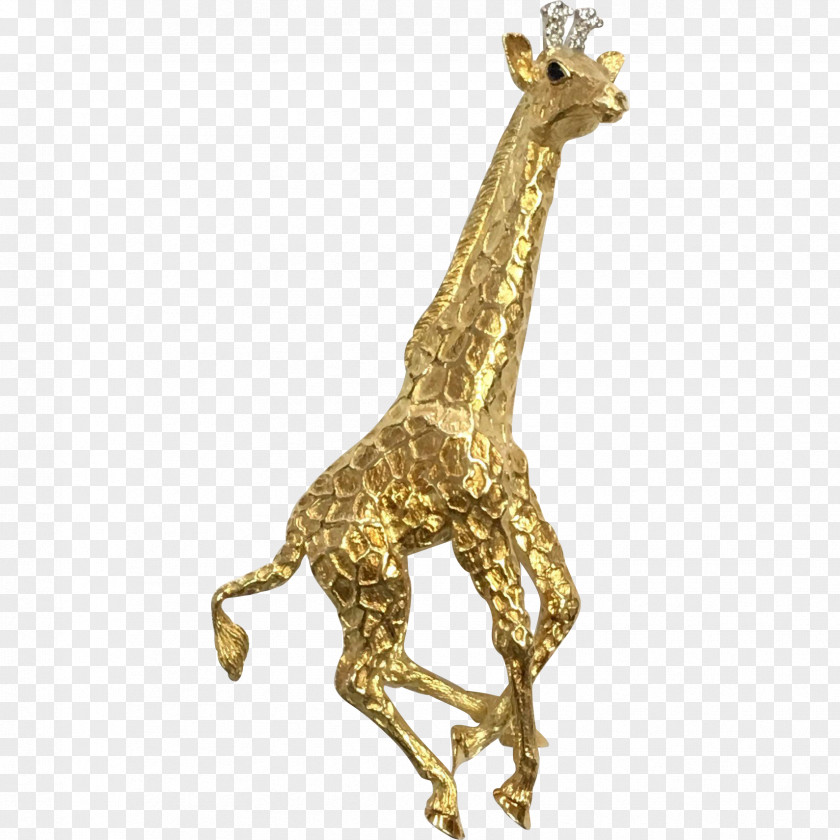 Giraffe Terrestrial Animal Fauna Wildlife PNG
