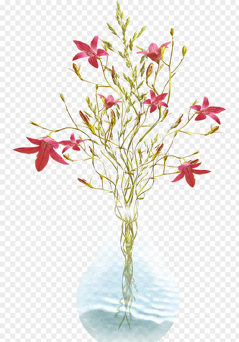 Long Flower Cut Flowers Vase Floral Design Flowerpot PNG