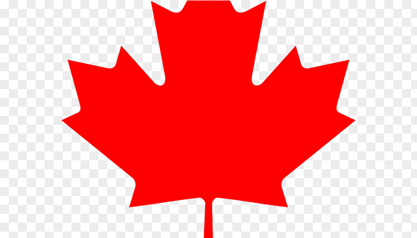 Symbol Carmine Canada Maple Leaf PNG