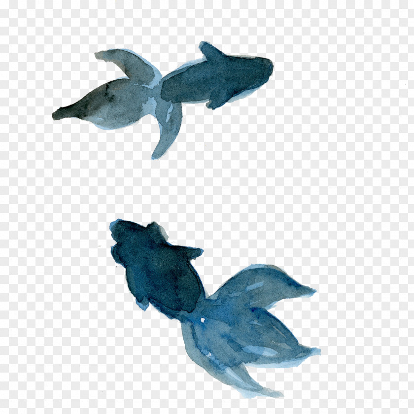 Turquoise Dolphin Animal Figure Fish Cetacea PNG