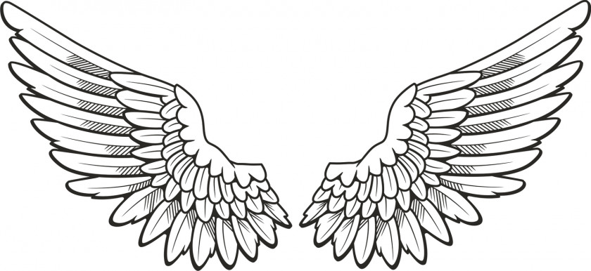 Wings Cliparts Drawing Angel Clip Art PNG