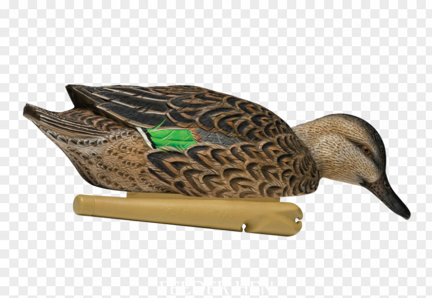 Duck Mallard Decoy Anseriformes PNG