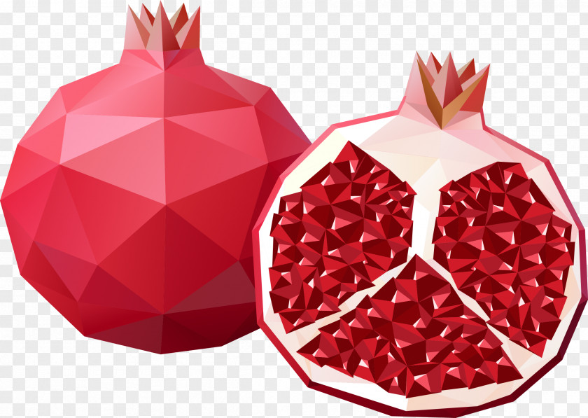 Geometric Pomegranate Juice Stock Photography Illustration PNG