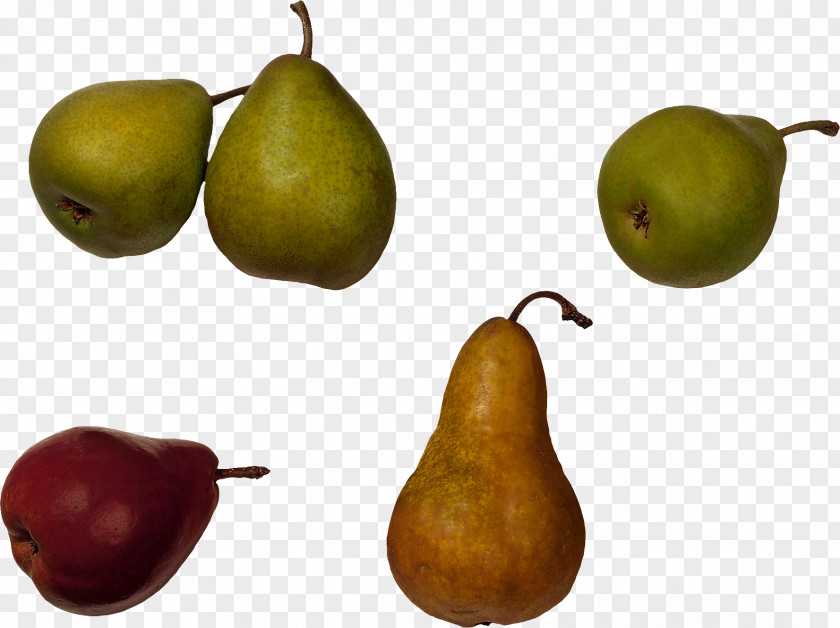 Mangosteen Pear Fruit Food Quince PNG
