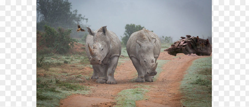 Save The Rhino Indian Elephant Apple Watch Seoul African PNG