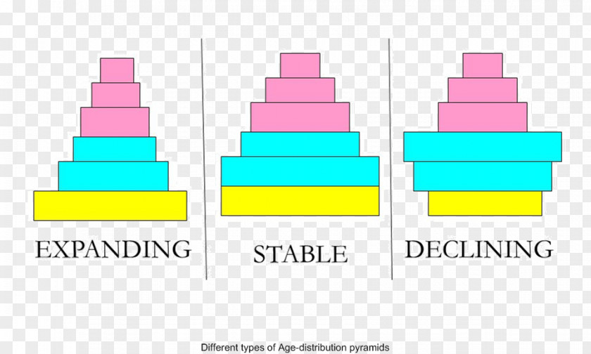 Story Structure Pyramid Population DNA Histone Biology PNG