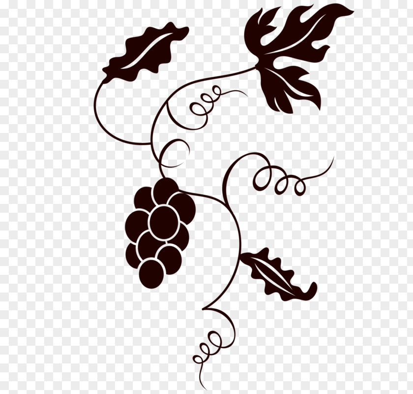 Grape Common Vine Image Wine PNG