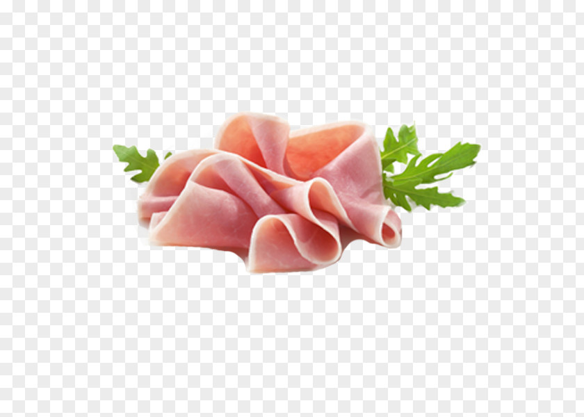 Ham Prosciutto York Bresaola Food PNG