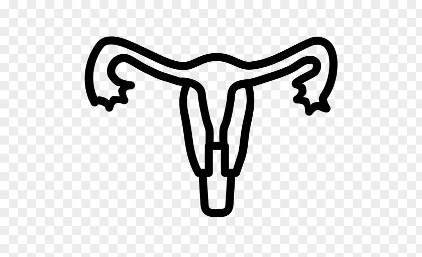 Health Uterus Medicine Menstruation Assisted Reproductive Technology Obstetrics And Gynaecology PNG